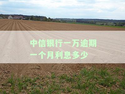 中信银行欠一万每月最低还款额及利息是多少？