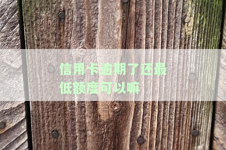 信用卡逾期最低还款，避免高额罚息，信用卡逾期请尽量偿还最低还款额