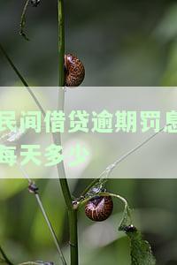民间借贷逾期罚息多少是合法的，了解民间借贷逾期罚息：合法围是多少？