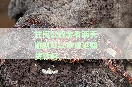 住房公积金逾期两天能否申请期贷款？影响严重吗？