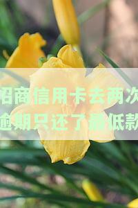 招商银行逾期还了最低还款额可以复卡吗，如何解决招商银行信用卡逾期问题：最低还款额是否能复卡？