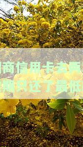 招商卡逾期2期,归还最低2-3天可继续用卡，招商卡逾期还款攻略：2期后归还最低金额，3天内可恢复使用