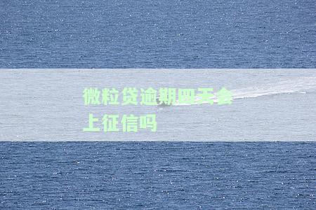 微粒贷逾期4天是否要全额还款？原因与解决办法