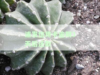 浦发推了三天还款，浦发银行三天还款，客户可以暂时松一口气