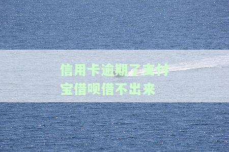 支付宝借呗逾期能否办理信用卡？全网解答