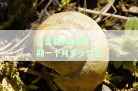 计算8000元逾期一天的罚息：逾期一天是多少、多少利息、总共多少钱？