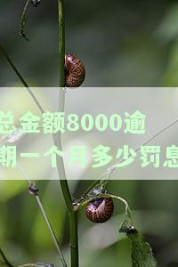 总金额8000逾期一个月多少罚息-总金额8000逾期一个月多少罚息呢