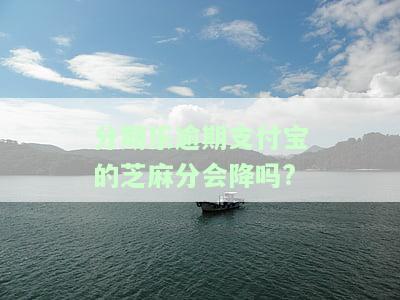 分期乐逾期是否会上征信并进入黑名单？
