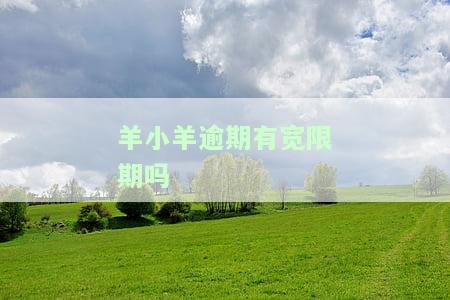 羊小羊逾期一天：是否会影响使用及通讯录？