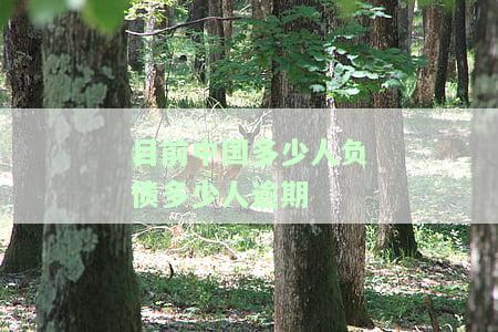 中国负债的人有多少人逾期了，揭秘中国负债人群：逾期人数占比多少？