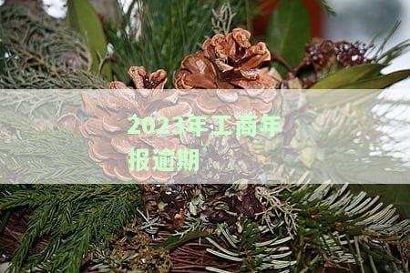 2023年工商年报逾期