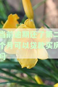 当前逾期还了第二个月可以贷款买房吗有影响吗，逾期还款后第二个月能申请房贷吗？会对购房产生影响吗？