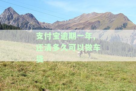支付宝逾期一个月能办理车贷吗，支付宝逾期一个月是否会影响车贷申请？