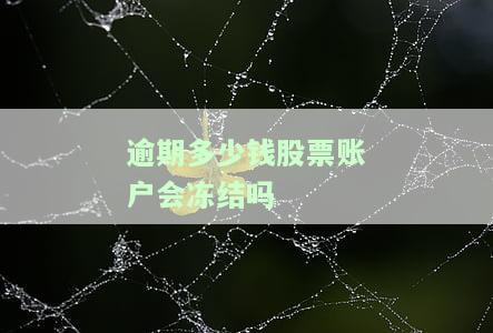 股票债务逾期是否会导致跌停？解析其原因