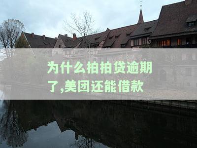 拍拍贷有过逾期,还上额度不可以用,可以要求再次下款吗，拍拍贷逾期还款后，能否要求再次下款？额度使用问题解析