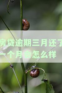 房贷逾期3个月但是都还了有什么后果，房贷逾期3个月但已偿还，会产生哪些后果？
