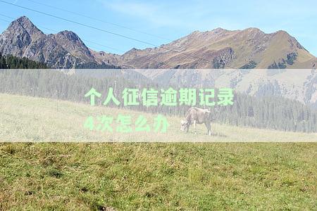个人征信四次逾期是否能贷款？影响因素解析
