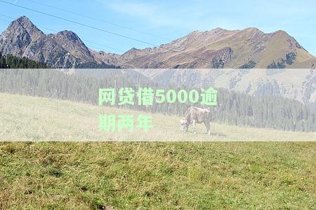 网贷5000逾期时间长了怎么办，网贷5000逾期久未归还，如何处理?