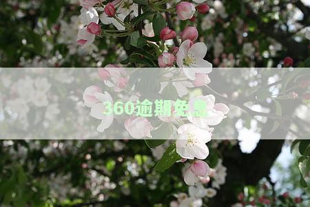 360借款免息期间可以还款吗，360借款免息期间是否可以进行还款？