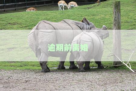 逾期前离婚房产给对方法院起诉是否有效？逾期离婚后另一方能否购房？