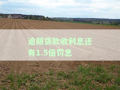 计算逾期贷款利息与1.5倍罚息的方法