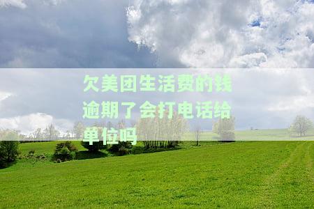 欠美团生活费的钱逾期了会打电话给单位吗怎么办，美团生活费逾期未还，单位会被电话骚扰吗？解决办法大揭秘！