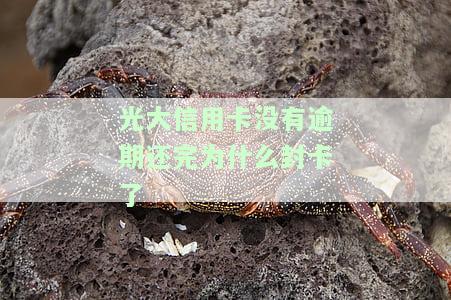 光大银行无力偿还信用卡：如何处理？