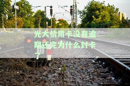 2020年光大信用卡逾期：接受不了还款方式及未接电话原因解析