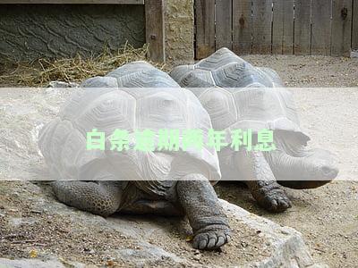 白条2000逾期2年，警示：白条2000逾期两年，后果严重！