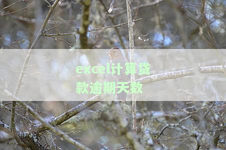 用Excel计算贷款期限：教程与方法