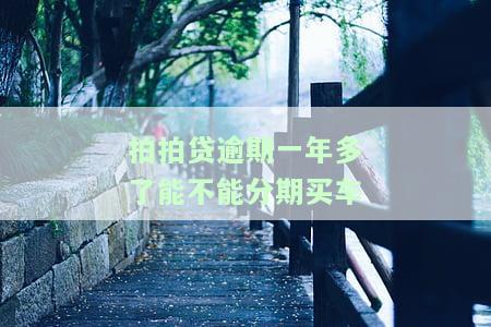 拍拍贷逾期一年多了能不能分期买车了，拍拍贷逾期一年多，是否还能申请分期购车？