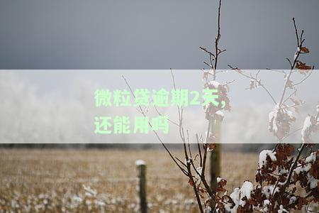 微粒贷逾期了两天对之后的借款有影响吗，微粒贷逾期两天会对后续借款产生影响吗？