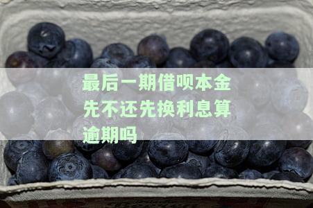 借呗最后一期还本金能分期吗，借呗最后一期能否进行本金分期？