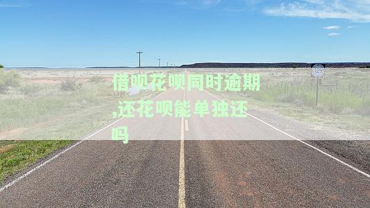 借呗逾期了,花呗都按时还款,花呗会被冻结吗，借呗逾期未还，但花呗按时还款，花呗账户会受到影响吗？