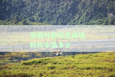逾期贷款利息增值税和所得税的处理方法：详细解析与操作指南