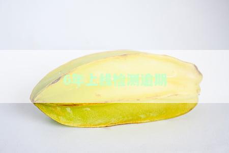 6年上线检测逾期怎么处罚，逾期未进行6年上线检测的处罚措是什么？