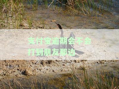 支付宝逾期会打电话给朋友吗，支付宝逾期处理方式：是否会通知朋友？