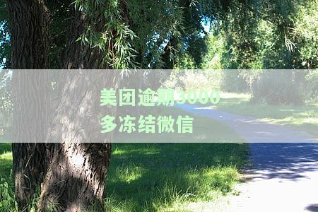 美团逾期3000多冻结微信-美团逾期3000多冻结微信 支付宝