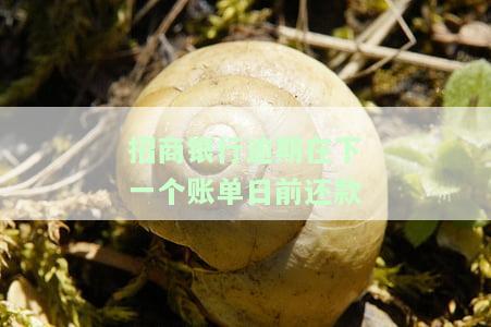 招商银行逾期在下一个账单日前还款有影响吗，招商银行逾期还款：对下一个账单日有何影响？