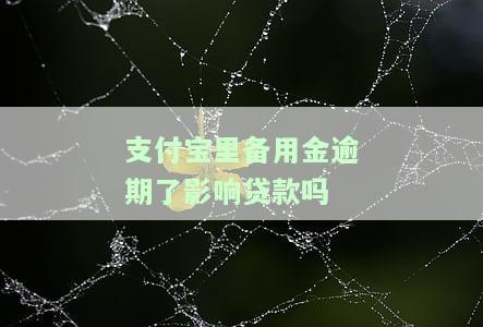 支付宝备用金逾期了会影响以后贷款吗，支付宝备用金逾期会对以后的贷款产生影响吗？