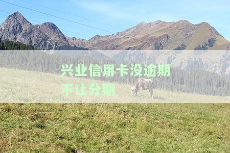 兴业信用卡没逾期为什么不能分期？解决办法是什么？