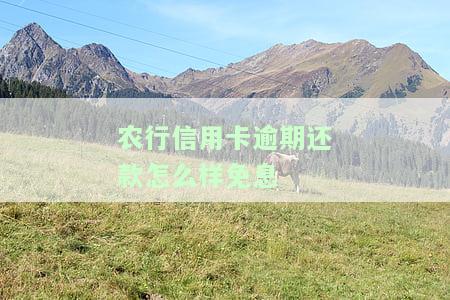 农行信用卡期还款申请及期限规定