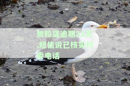 微粒贷逾期说是给我们村委会打电话去了，微粒贷逾期：为何给我村委会打电话？