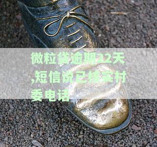 微粒贷逾期22天,短信说已核实村委电话-微粒贷逾期说是给我们村委会打电话去了