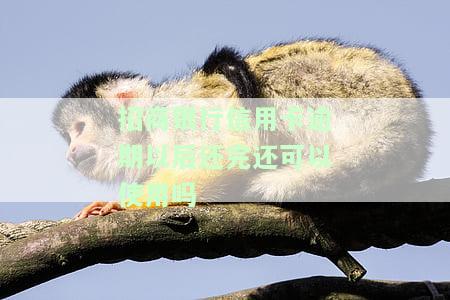 招商银行信用卡逾期以后还完还可以使用吗-招商银行信用卡逾期以后还完还可以使用吗