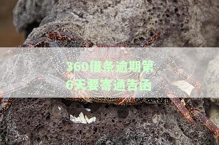 逾期第6天要寄通告函吗，逾期6天，是否会被寄送通告函？
