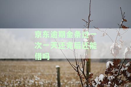 京东逾期金条过一次，一天还完后能否再次借款？有无影响？