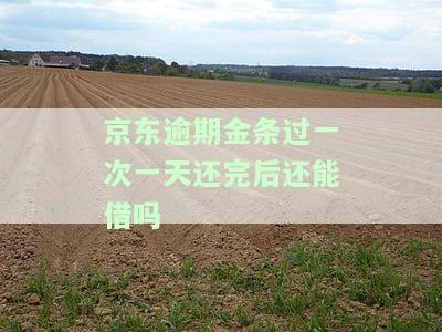 京东金条逾期一次，一天还款后能否继续使用？安全吗？