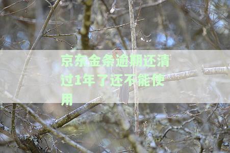 京东金条逾期过后还了是不是不能再借了，京东金条还款后能否再次借款？逾期会对下次申请有影响吗？