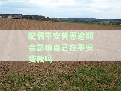 平安普欠款会影响妻子吗？探讨其可能的影响